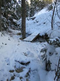 Petit pont