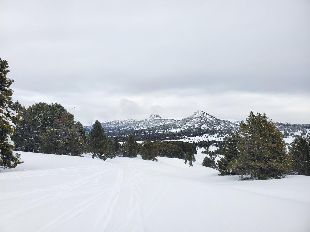 Descente sur les hauts plateaux