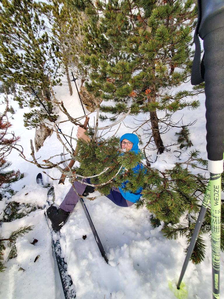 Qui tire sur une branche ...