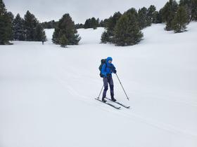 Neige croûtée: trace directe