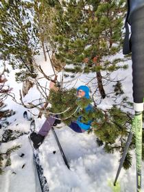 Qui tire sur une branche ...