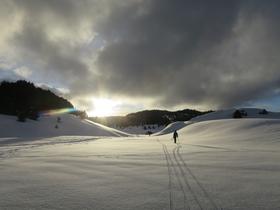 Retour à la cabane