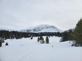 Le Grand Veymont