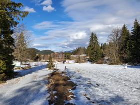 Arrivée sur le Golf