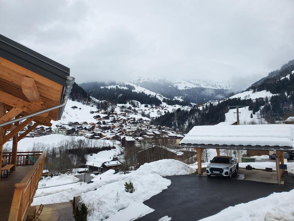 Vue depuis le chalet