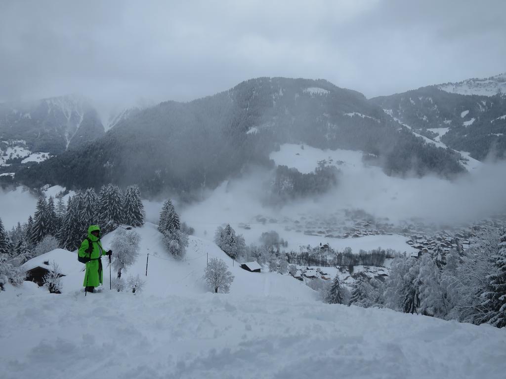 Retour au Carroz
