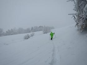 Tracer dans la profonde