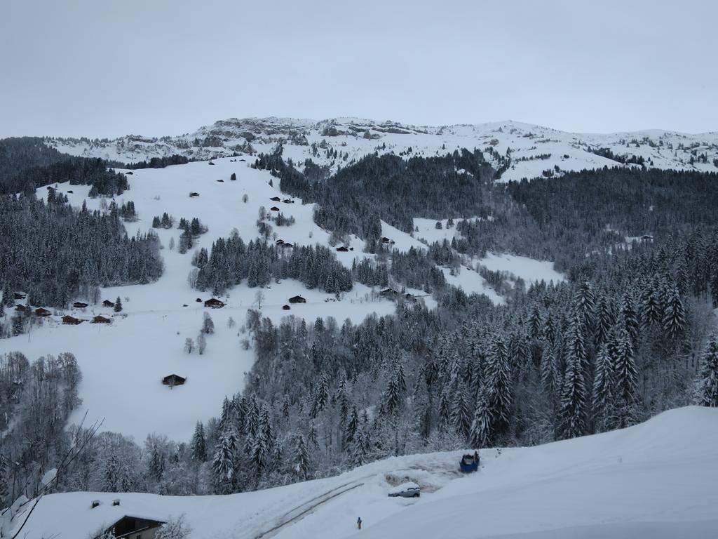 Roche Parstire