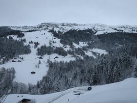 Roche Parstire