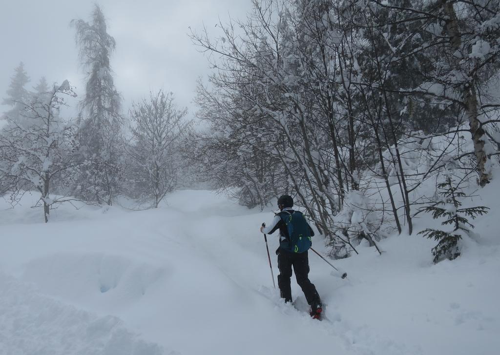 Tracer dans la poudre