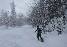 Tracer dans la poudre