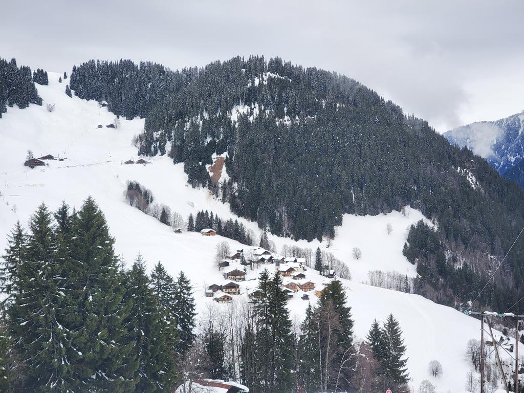 Avalanche de la Dray