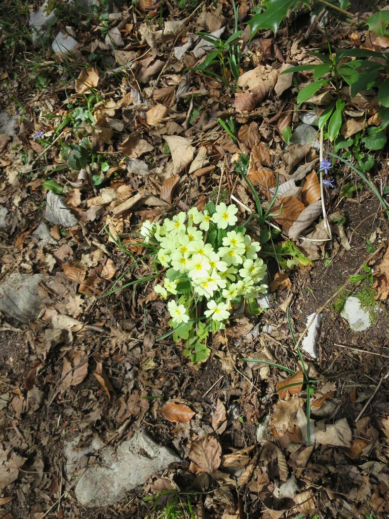 Le printemps est là!