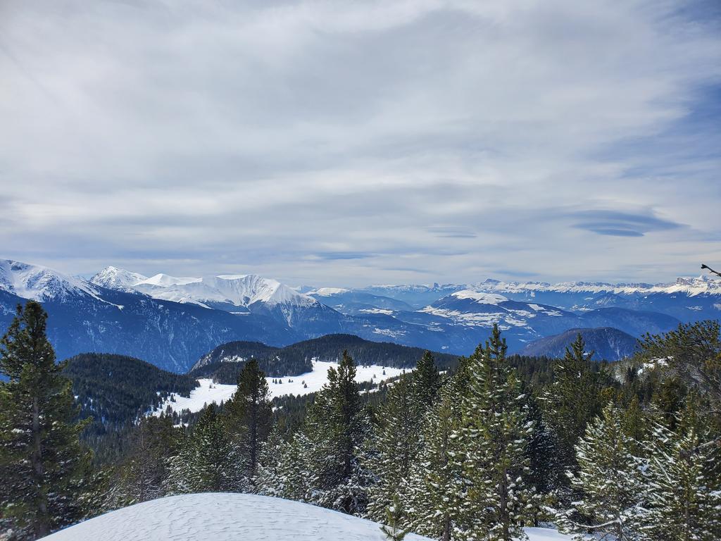 Plateau de l'Arselle