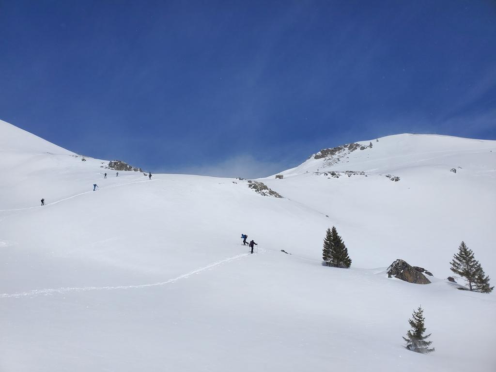 Romain trace