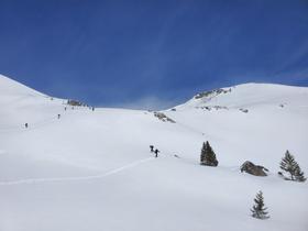 Romain trace