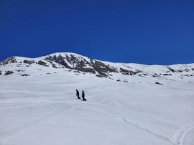Snowboarders