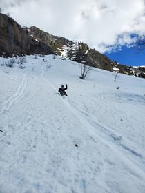 Descente en luge