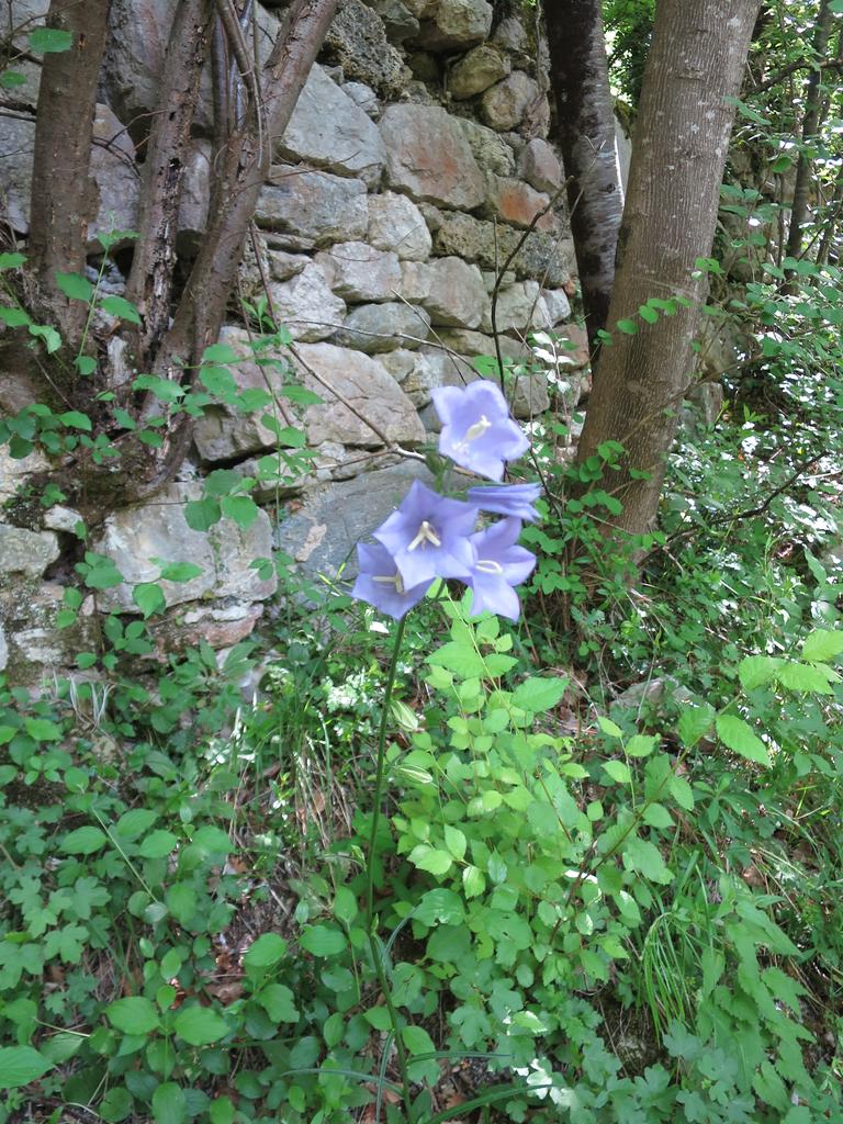 10h44m48-Canon_PowerShot_S120