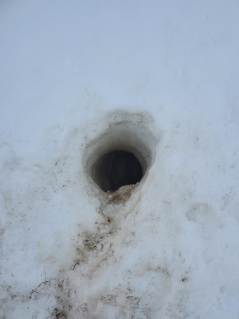 Trou de marmotte