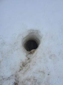 Trou de marmotte