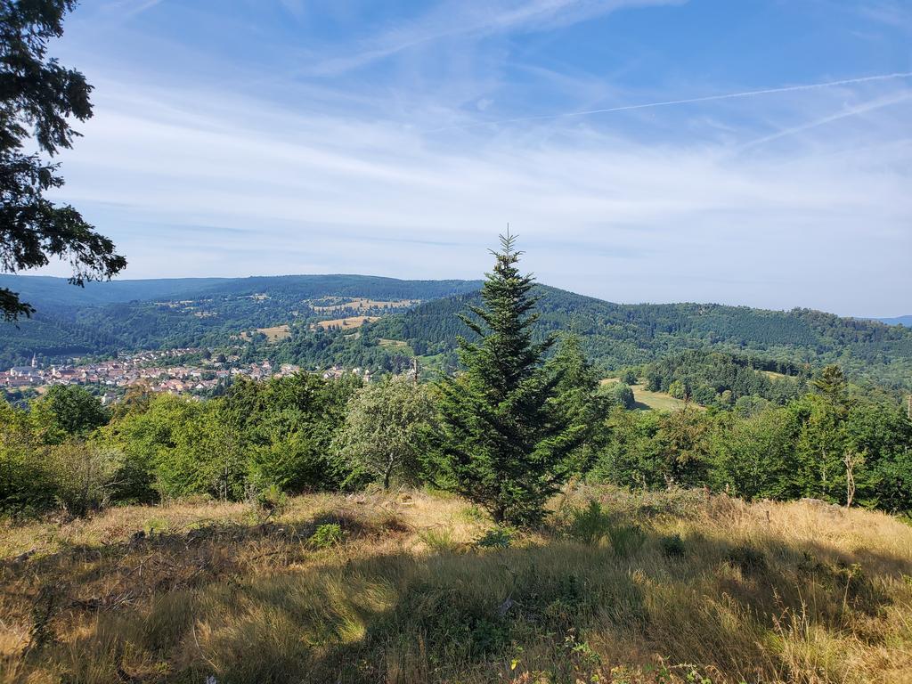 Hahenberg