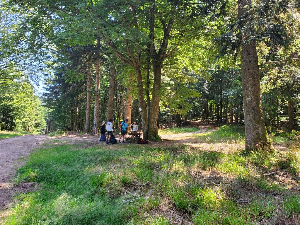 Mullerplatz