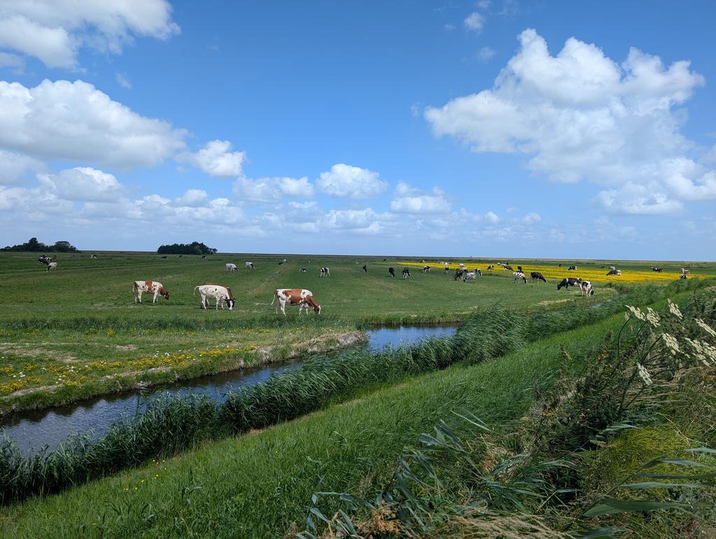 Marken