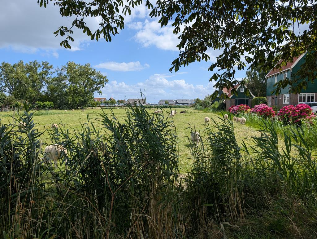 Marken