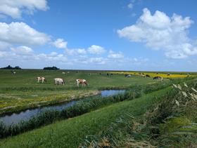 Marken