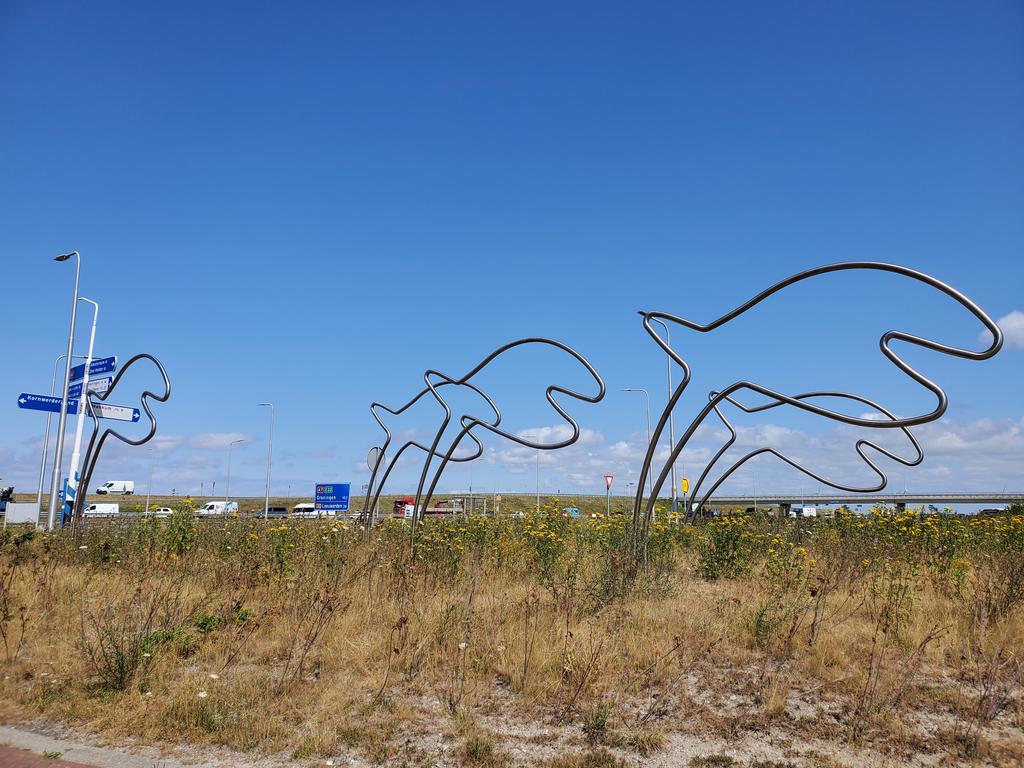 Les poissons de la passe...