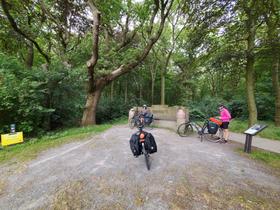 Arrêt à l'abri des arbres