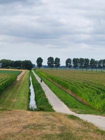 Descente dans le polder