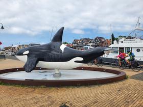 Orque d'Urk