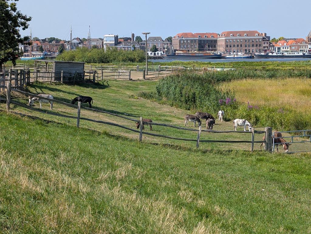 Kampen