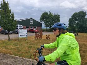Arrivée au camping à la ferme