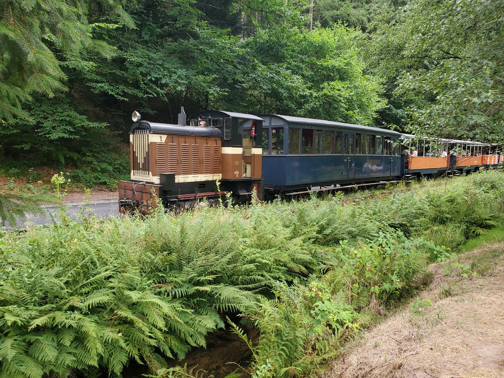 Le train de la forêt