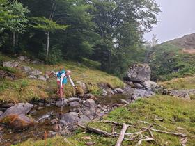 Bientôt de retour sur le sentier