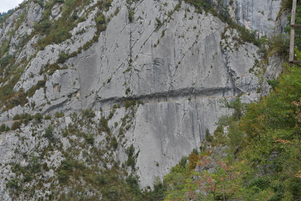 Chemin de la mâture