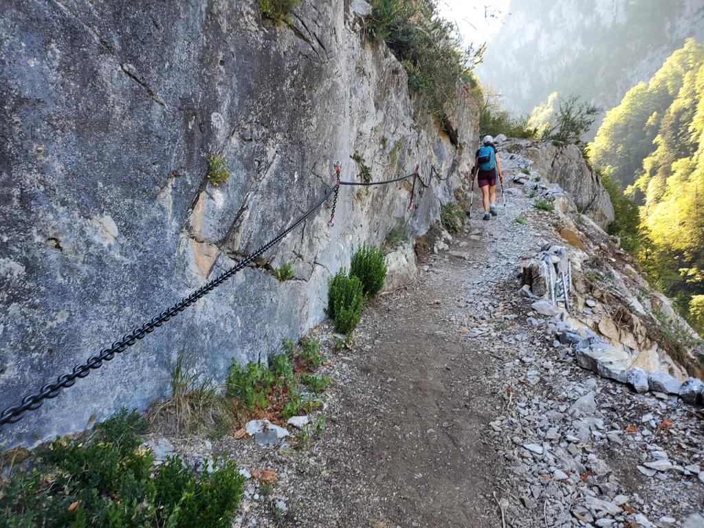 Chemin de la mâture