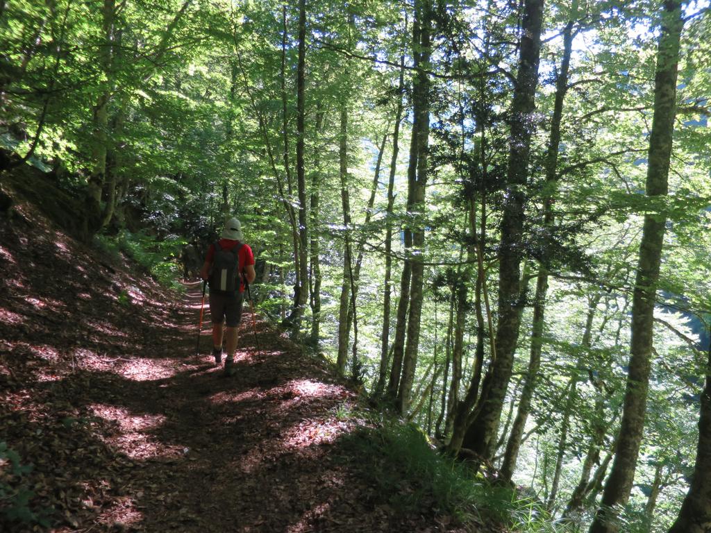 Suite du chemin