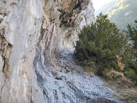 Chemin de la mâture