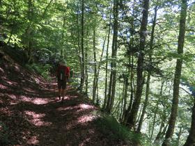 Suite du chemin