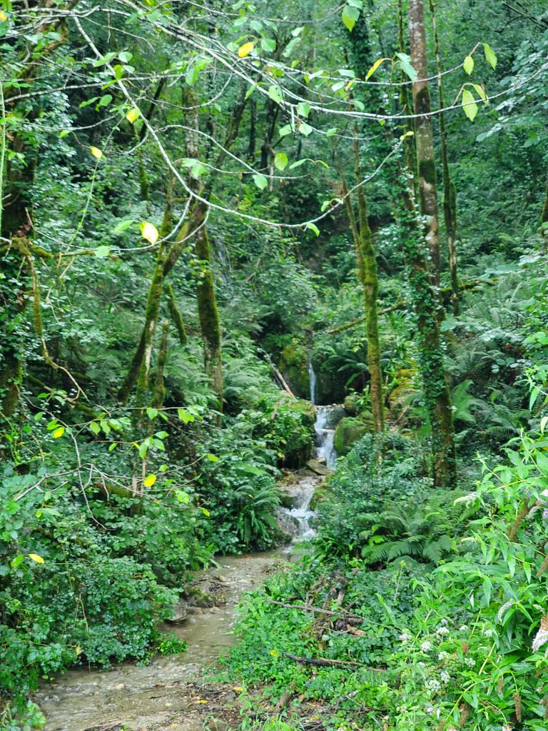 Entrée des gorges de Kakoueta