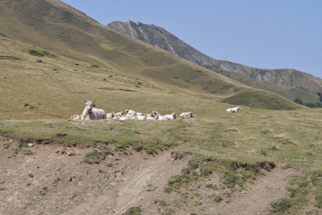 Col d'Erroymendi