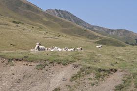 Col d'Erroymendi