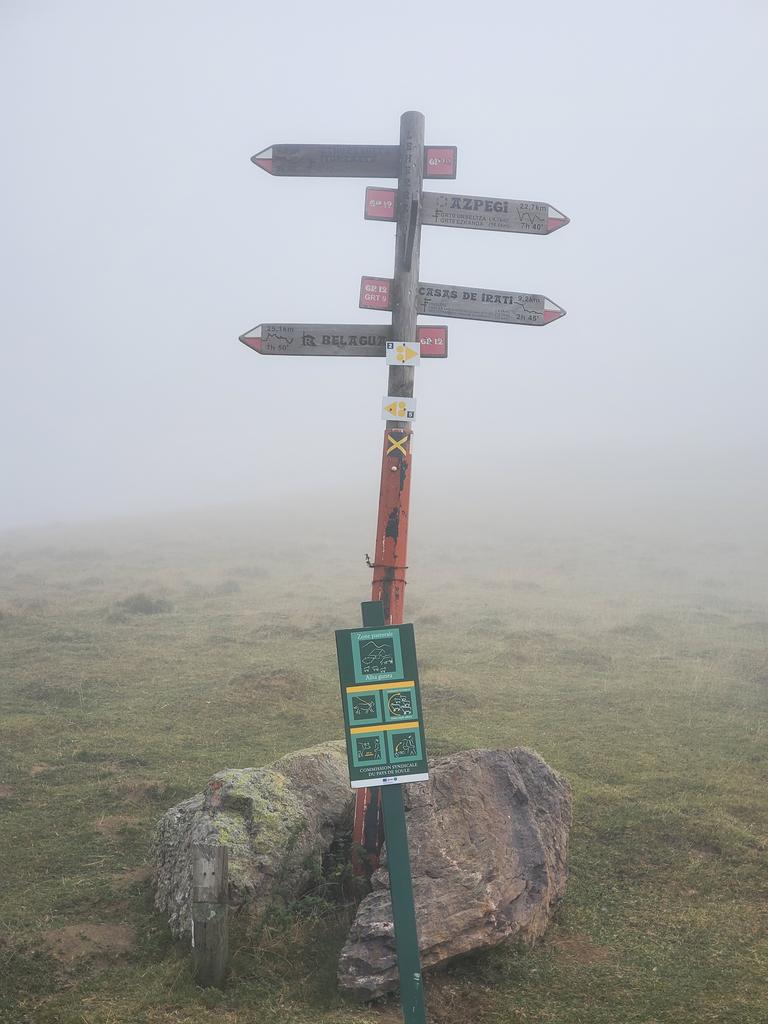 Dans le brouillard