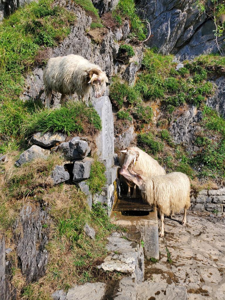 Fontaine d'Ahusky