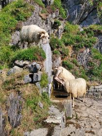 Fontaine d'Ahusky
