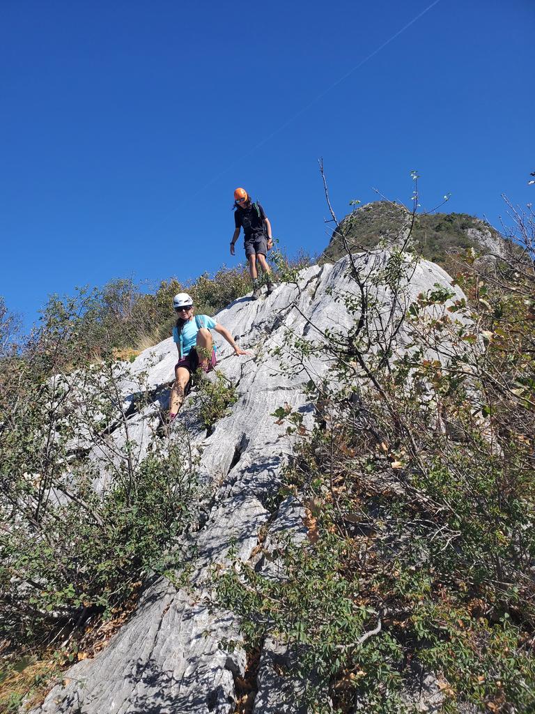 Descente